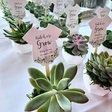 Pin On Baby Shower