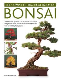 Plant care and keeping have been around for many years; Pin On Bonsai And Gardening