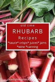 8 Great Ways To Use And Preserve Rhubarb For Cooking Rhubarb Recipes Rhubarb Desserts Rhubarb