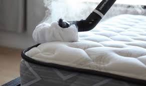 But 20 million mattresses are discarded and landfilled each year in the u.s. How To Clean Mattresses From Bed Bugs Hunt And Gather Gr