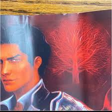 from blood and ash fairyloot Literary Fiction Books