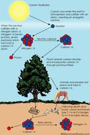 The reliability of radiocarbon dating. How Carbon 14 Dating Works Howstuffworks