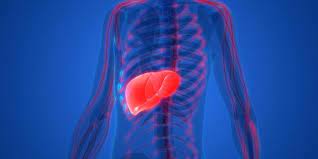 Ce n'est pas toujours gynécologique. Douleur Au Ventre Comment Savoir Si C Est Le Foie