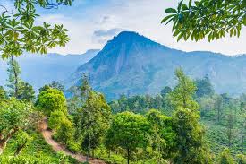 *list effective from 17 june 2021. Holidays 2021 Expert Predicts Green List Countries For Brits With No Travel Restrictions Travel News Travel Express Co Uk