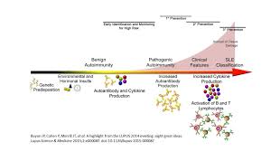 Image result for Autoimmunity