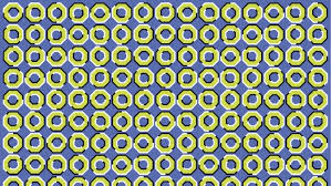 Image result for illusion pictures