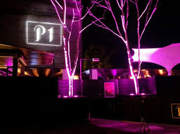 P1 Englischer Garten Sud Munchen Englischer Garten Wiesn Garten