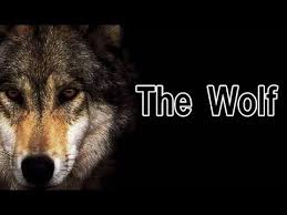 The Wolf L Quotes In English L Islamic Videos Youtube L Quotes English Quotes Islamic Videos