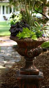 Maybe you would like to learn more about one of these? Pin On Shade Plants