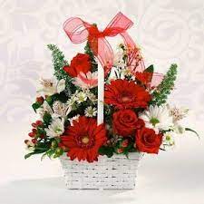 Collins flowers inc ei tegutse valdkondades muu ostlemine, kingitused, kaardid ja pidu tarvikud, ostlemine, lilleseadjad. Nashua Florist Flowers Nashua Nashua Flower Outlet Nashua Nh 03064