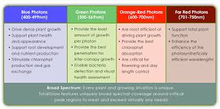 Totalgrow Solid State Volumetric Lighting Grow Light