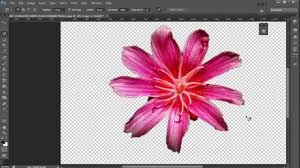 Free cute animals and flowers. Easy Tutorial Building A Photoshop Brush Out Of A Flower Youtube