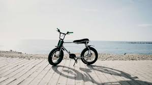Ruff Cycles Lil Buddy Ein Cooles Pedelec Zum Liebhaben Pedelec Fahrrad Radfahren