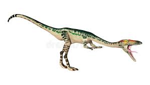 Usually growing to length of about 2 metres (6.6. 3d Rendering Dinosaur Coelophysis On White Stock Illustration Illustration Of Rendering Ancient 83532489