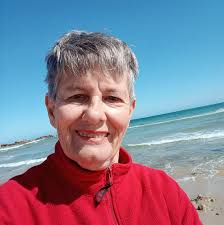 What can I do about someone throwing rocks at my dogs through a closed gate?