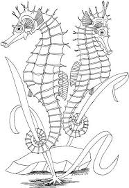 After your child's sand seascape has dried, display it in a prominent place. Pin On Coloring