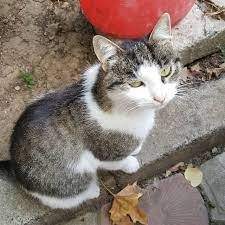 yuregimin iklimi hesapli sevgi gercek sevgi degildir gercekler yaya