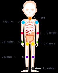 Turchet, synergologue, dans l'émission les pouvoirs extraordinaires du corps humain. Le Corps Ce2 Cours Questionner Le Monde Kartable