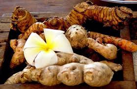 Jamu atau vitamin yang diberikan bisa berupa jamu instan baca juga : Jamu Tradisional Wanita Awet Muda