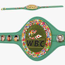 A day like today, mike mccallum conquered the wbc lt. Wbc Championship Boxgurtel 3d Modell Turbosquid 1472477