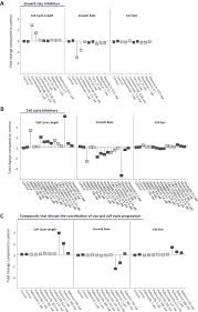 The smallest animal viruses belong to the families parvoviridae and picornaviridae and measure about 20 nm and about 30 nm in diameter, respectively. Cell Size Sensing In Animal Cells Coordinates Anabolic Growth Rates And Cell Cycle Progression To Maintain Cell Size Uniformity Elife