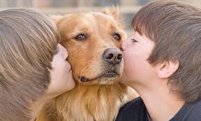 Empathy and Loving Kindness Practice