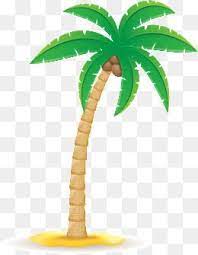 Coconut Tree Png Images Vector And Psd Files Free Download On Pngtree Coconut Tree Coconut Tree