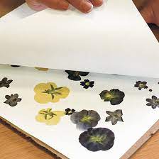 Air drying flowers is perhaps the easiest and most common way to preserve flowers. Pressing Flowers Finegardening