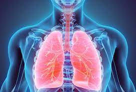 Lung cancer is the second most common cancer in both men and women. Are There Early Warning Signs Of Lung Cancer The Well By Northwell