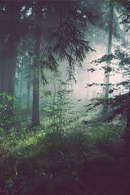What Exactly Is Twilight The Three Different Types Beautiful Photography Nature Nature Photography Beautiful Nature