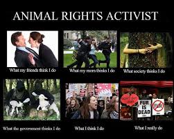 Animal Rights Activist Animal Rights Animal Rights Activist Animal Activism