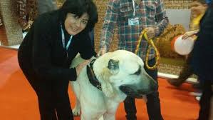 Emitt 2016 Tuyap Fuar Merkezi Dogs Animals Four Square