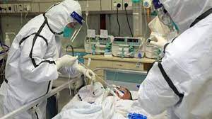 Mucormycosis, also called the black fungus infection, can damage the sinuses or the fungus can attack through the respiratory tract, and was present in india before the covid pandemic, according to. Covid Triggered Black Fungus Cases Reported In Delhi What S This Dangerous Fungal Infection