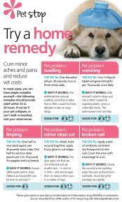 Please Subscribe My Youtube Http Www Youtube Com User Michellestephanie9 Dog Care Dog Remedies Pet Remedies