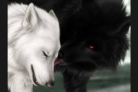 We did not find results for: Are You A Black Wolf Or White Wolf