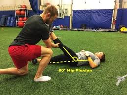 Pin Auf Piriformis Muskel