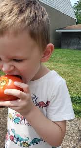Can a 4-year-old safely eat a whole tomato?