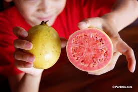 Les Fruits Exotiques
