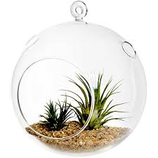 Votives candles & holders nothing can create a relaxed atmosphere and add a romantic ethos better than candles. 7 Inch Large Clear Glass Hanging Air Plant Terrarium Ball Votive Candle Holder W Flat Base Loop Hook Buy Online In Antigua And Barbuda At Antigua Desertcart Com Productid 15134858