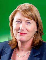 Ryan faces Liberal and Greens hopefuls