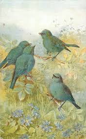 Name Birds That Start With F Four Blue Birds Violets Below Oilette Printed In England Copyright London 3 Backs Come O F But Not So Trade Name Vintage Birds Blue Bird Bird Art