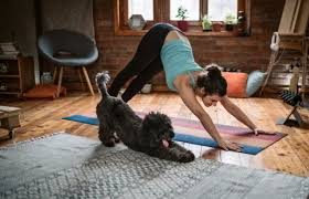 La scheda di esercizi da fare a casa per loro potrebbe ricalcare quella che di solito fanno in palestra ma senza attrezzi. Palestre Chiuse La Ginnastica Da Fare In Casa Tgcom24