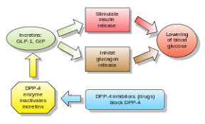 We did not find results for: Diabetes Medication Wikipedia