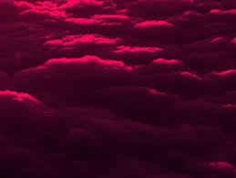 Maybe you would like to learn more about one of these? Dark Pink Plain Aesthetic Background Novocom Top