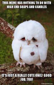 See more ideas about work memes, hilarious, work humor. This Meme Has Nothing To Do With High End Soaps And Candles It S Just A Really Cute Owl Good Job 788 Sad Owl Make A Meme