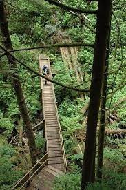 Hike British Columbia S West Coast Trail West Coast Trail Hiking Trip Scenic Travel