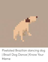 25 Best Memes About Dancing Dog Brazil Dancing Dog Brazil Memes