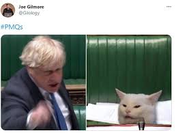 The fda said it was recommending the temporary pause out of an abundance of caution. Twitter Explodes With Memes About Boris Johnson S Commons Clash Celex
