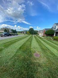 Improve the overall health of your lawn. Prestige Lawn Care And Landscaping Home Facebook