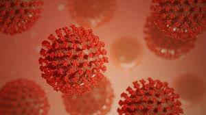 The neocov, a type of coronavirus that has surfaced the news recently, does not pose actual danger in its current form and is, in fact, . Is Neocov The Deadliest Pressure Of Coronavirus All Concerning The Variant And Why It S In Information Newsislands Com